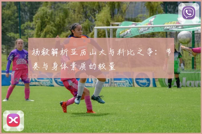 杨毅解析亚历山大与科比之争：节奏与身体素质的较量